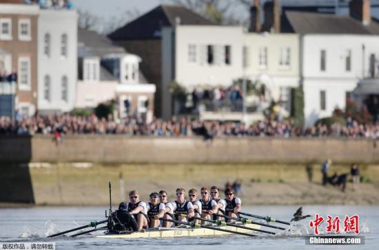 英名校聯(lián)盟23所大學曝學術造假丑聞 涉抄襲捏造