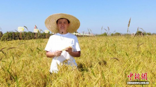 全國人大代表、寧安市渤海鎮(zhèn)上官地村黨支部書記、村委會主任陳雨佳在稻田中。 受訪者供圖